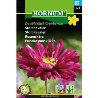 Stolt Kavaler &quot;Double Click Cranberries&quot; - Halvfyldte blomsterhoveder - Blomsterfrø