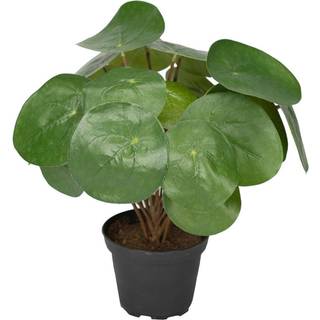 Pilea Kunstig - 25 cm