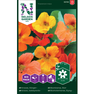 Slyngblomsterkarse Mix Big Pack
