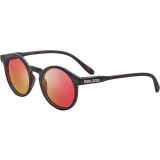 Salice 38 RW DEMI/RW ROSSO Standard Solbriller Mænd Tortoiseshell - Dark Havana - Standard