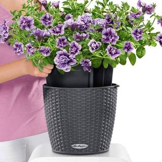 Lechuza Nido Cottage udendørs krukke grå til blomster med selvvandingssystem 23