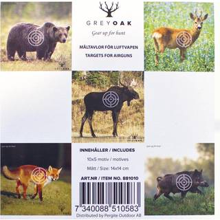 Grey Oak Targets For Airguns Multicolor, 14X14CM