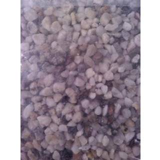 Akvariegrus klar 3-6 mm 10 kg.