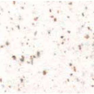 Bike Ribbon Cork Gel Evo Styrbånd - Hvid