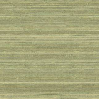 Grasscloth - G45422