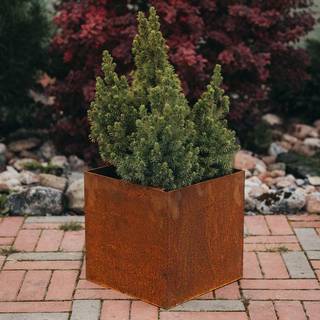 Plantekrukke FIORA - small