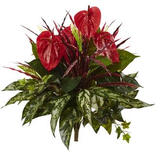 N?sten naturlig 24in. Blandet Anthurium Bush (s?t af 2)