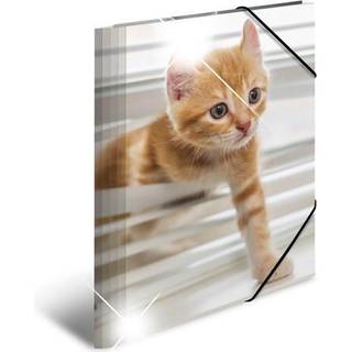 HERMA Elasticated folder glossy animals A4 PP cats