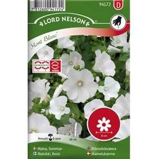 Mamelukærme 'Mont Blanc'