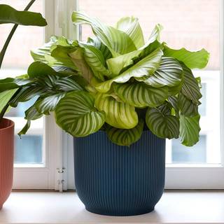 Elho Vibes Blomsterkrukke, 22 cm, deep blue