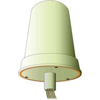 CISCO Network Antenna