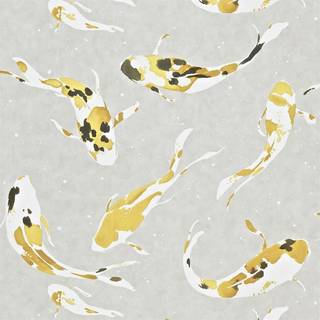 Koi Saffron - HMOW110901