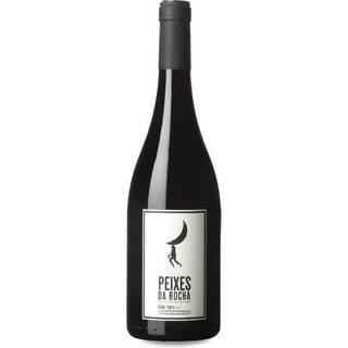 Peixes da Rocha 2019