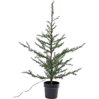 Sirius milas cedertræ h100cm 100 led