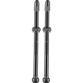 Schwalbe Tubeless Ventiler 2 stk 100mm Presta