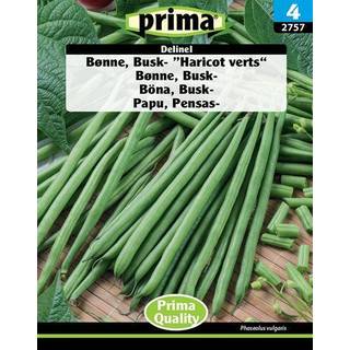 Prima - ® Frø - Bønne, Busk- ”Haricot Verts“