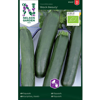 Squash 'Black Beauty' Øko