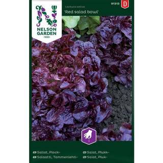 Pluksalat 'Red Salad Bowl'