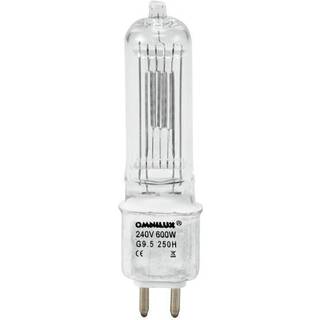 Omnilux HX600 GKV240V/600W G-9.5 250h TILBUD NU