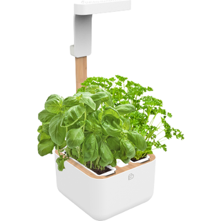 Botaneo Eylo planter, White - Veritable