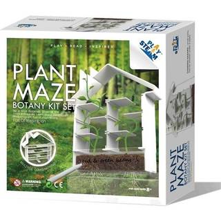 Plante labyrint