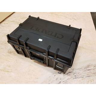 "Citadel Crusade Figure Case"