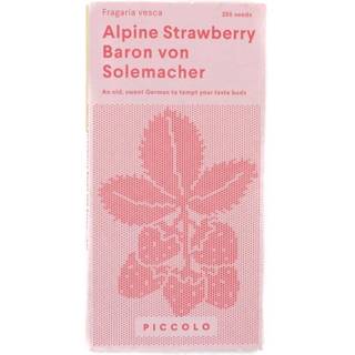 Piccolo Seeds Alpine Strawberry - Frø