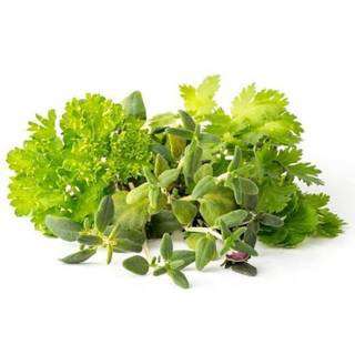 FORÅRSUDSALG - Click&Grow - Grill & Steak Mix