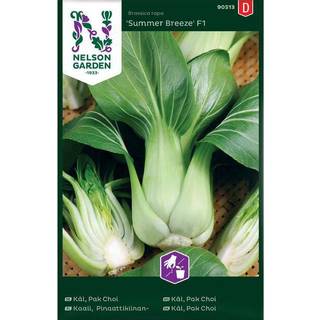 Pak Choi Kål 'Summer Breeze' F1
