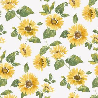 Sunflower Trail - G45458