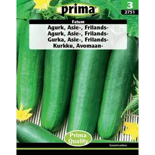 Prima - ® Frø - Agurk, Asie-, Frilands-