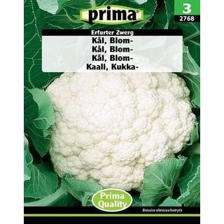 Prima - ® Kål, Blom-