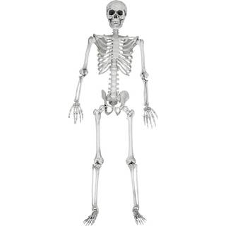 Mikamax Life Size Skeleton - 170 cm