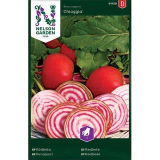 Rødbede 'Chioggia'