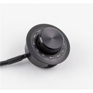 The Conductor Remote