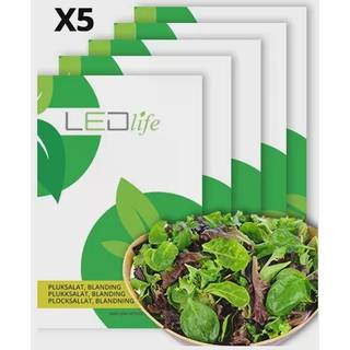 5 ps. Pluksalat frø - Baby Leaf blanding