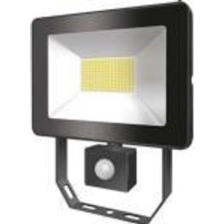 Esylux Afl basic led 50w 3000k