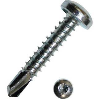 Pladeskrue 4,2X22Mm Torx20 Med Borespids Dresselhaus