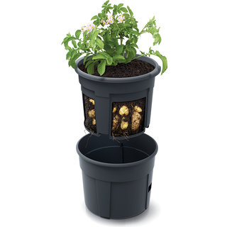 Ryom Kartoffel Potte - 12 LTR