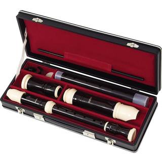 Aulos Recorder Multi (C539)