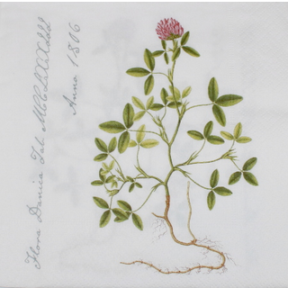 Flora Danica mønstrede servietter 33x33 cm 20-pak (På lager i varehus)
