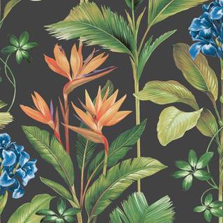 Albany Wallpaper Oliana Floral 8484