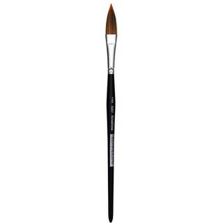 Oval Wash Brush 1/2