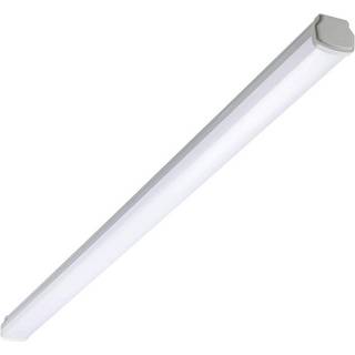 Signify Philips Ledinaire Industriarmatur IP66 WT060C LED 5600lm/840 1-faset gennemfortrådning 1500mm