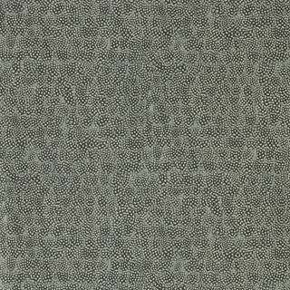 Guinea - ZKEM312648
