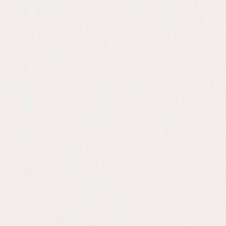 Birch White - 4302