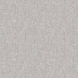 Ash Grey - 4321