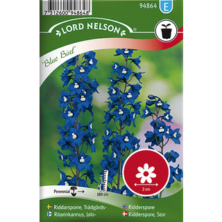 Stor Ridderspore 'Blue Bird'