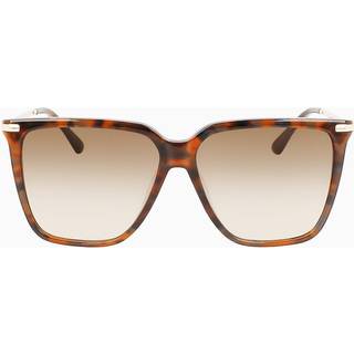 Calvin Klein Kvinde CK22531S 220 Solbriller Acetat Havana Brun Firkantet Skygge