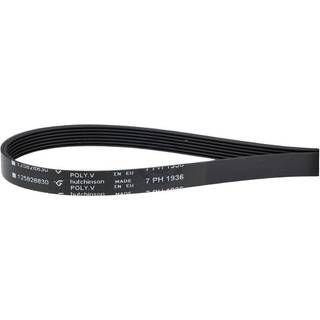 Electrolux Tørretumblerens drivrem 1258288305